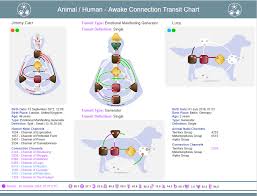 Human Design New Chart Animal Human Awake Connection