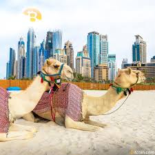 While bitcoin is not explicitly legal within the region, regulators will not prosecute those who trade in it. Uae Based Investors Reveal Outlook For Bitcoin Markets