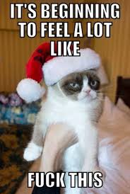 Grumpy-Cat-Tard-Is-Not-Feeling-The-Christmas-Spirit-Meme.png via Relatably.com