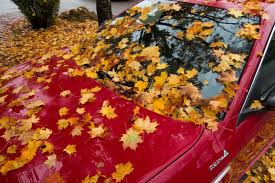 Risultati immagini per autunno auto