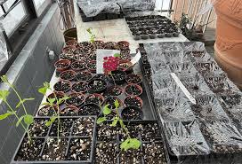 Planting A Garden From Seed Is Easy And