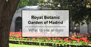 royal botanic garden of madrid what