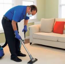 carpet cleaning service naturally