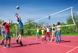 essay on volleyball in english for