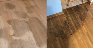 floors have pet damage or water damage