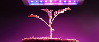 For Plants Artificial Plant Lighting