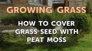 how to cover gr seed with peat moss