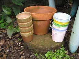 Garden Pots And Metal Watering Can