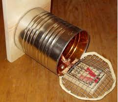 3 easy home made mouse traps pest