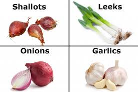 garlic and onions cause bad breath
