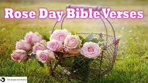 rose day verses what does the