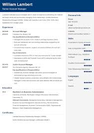 You can either run with it or use it as the basis . 18 Professional Cv Templates Curriculum Vitae To Download