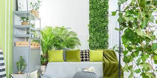 Vertical Green Wall With Houseplants