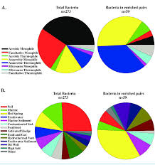 Comparison Of Bacteria Enriched In Shared Genes With Archaea