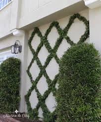 Put tape x marks on the wall and move them around until the design is finalized. How To Make A Diamond Pattern Espalier Creating A Belgian Fence