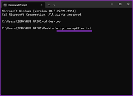 file from windows command prompt