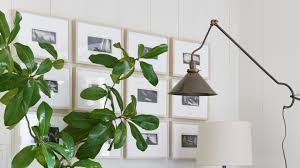 14 decorative branches to for and