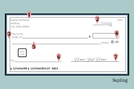 how to write a check to a child sapling