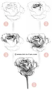 to draw rose pencil drawings
