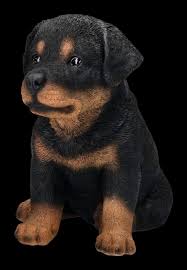 rottweiler puppy figurine figuren