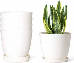 how to choose pots for indoor plants