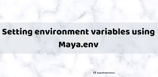 setting environment variables using