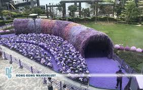 purple flower galore
