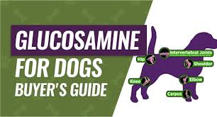Best Glucosamine For Dogs Relieve Your Dogs Joint Pain