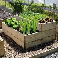 Raised Vegetable Beds Are Simple To