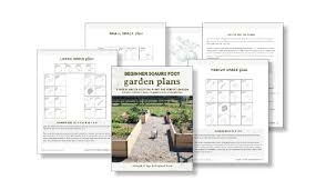Vegetable Garden Planning For Beginners