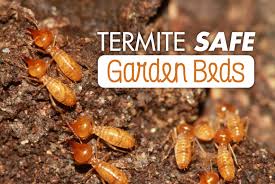 Termite Safe Garden Beds Cure All
