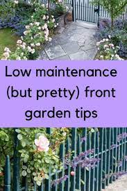 Low Maintenance Front Garden Ideas