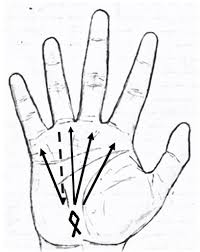 Actually, these financial lines don't offer much in the way of details; Palmistry Money Line Here S How To Read Your Palm Lines For Money Big Chi Theory