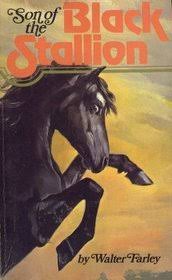 The first book in the series, published in 1941, is titled the black stallion. Son Of The Black Stallion By Walter Farley