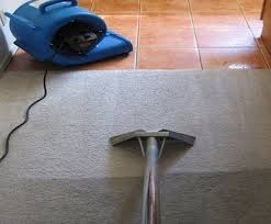 carpet cleaning and pest control a