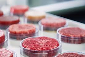 cultured meat ion