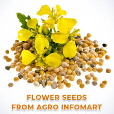 flower seeds manufacturers exporters
