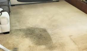 carpet cleaning in yucca valley