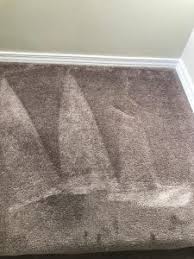 pet stain removal carpet cleaning