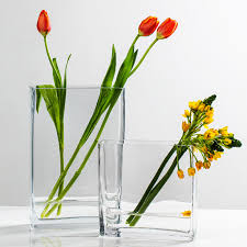 Rectangle Glass Vase Transpa For