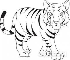 outline clipart stripped bengal