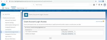 how to grant login access to sforce