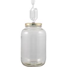 1 Gallon Glass Jar Fermenter Kit Lug