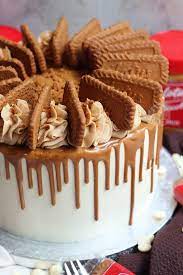 Chocolate Biscoff Cake Drip Cakes Biscoff Cake Chocolate Drip Cake gambar png