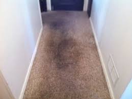 carpet cleaning before after st