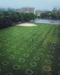 The city will be painting physical distancing circles on the grass at trinity bellwoods park to help enforce public health measures after thousands of people packed the park on saturday and. Demitri Media Services Social Distancing Circles At Trinity Bellwoods Park Facebook