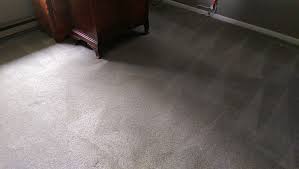 oxi fresh carpet cleaning reviews