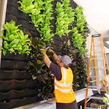 florafelt living wall guide plants on