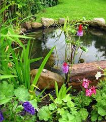 Landscape Pond Landscaping Backyard