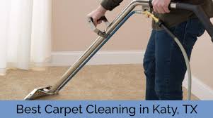 the 5 best options for carpet cleaning
